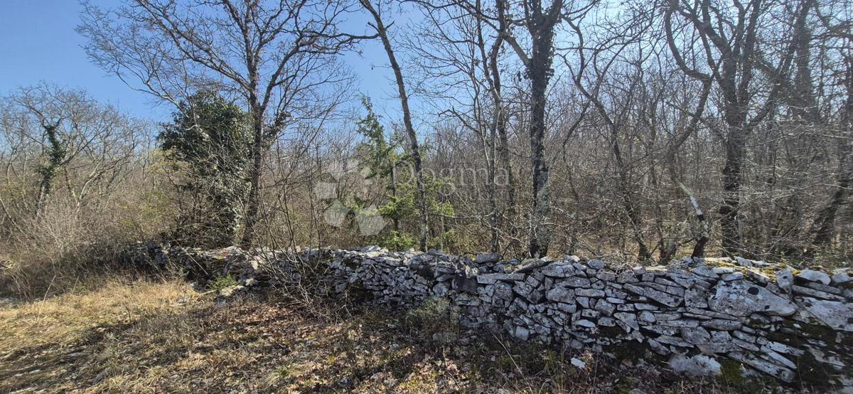 Kmetijsko zemljišče Glavani, Barban, 23.953m2