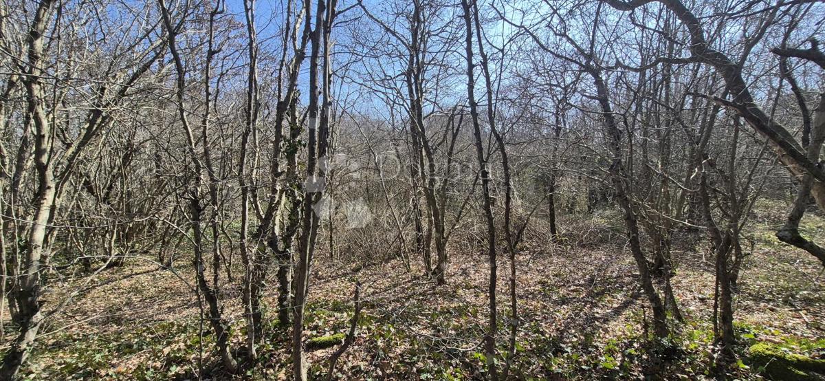 Kmetijsko zemljišče Glavani, Barban, 23.953m2