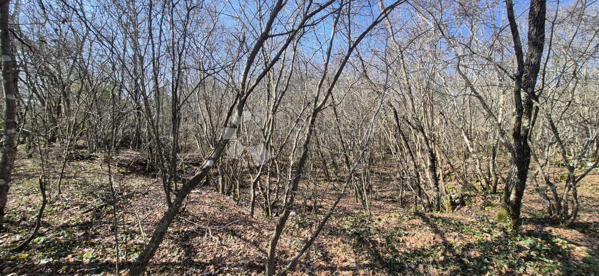 Kmetijsko zemljišče Glavani, Barban, 23.953m2