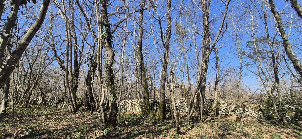 Kmetijsko zemljišče Glavani, Barban, 23.953m2