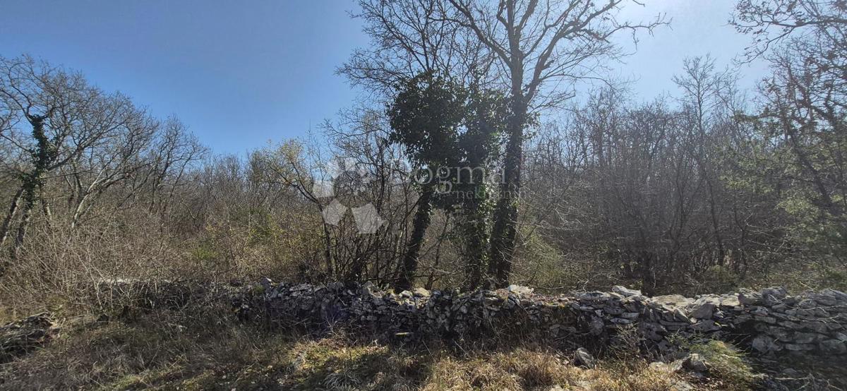 Kmetijsko zemljišče Glavani, Barban, 23.953m2