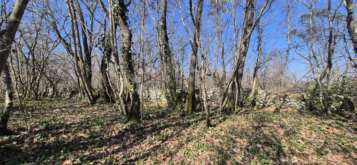 Kmetijsko zemljišče Glavani, Barban, 23.953m2