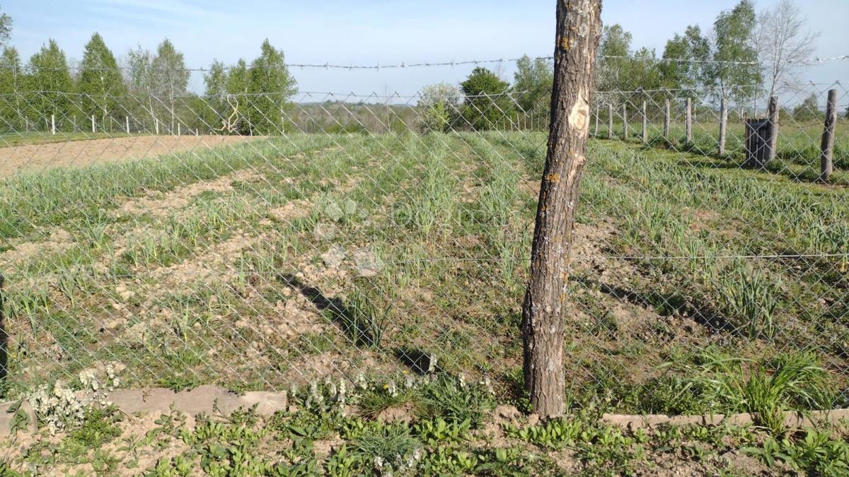 Hiša Blatuša, Gvozd, 54m2