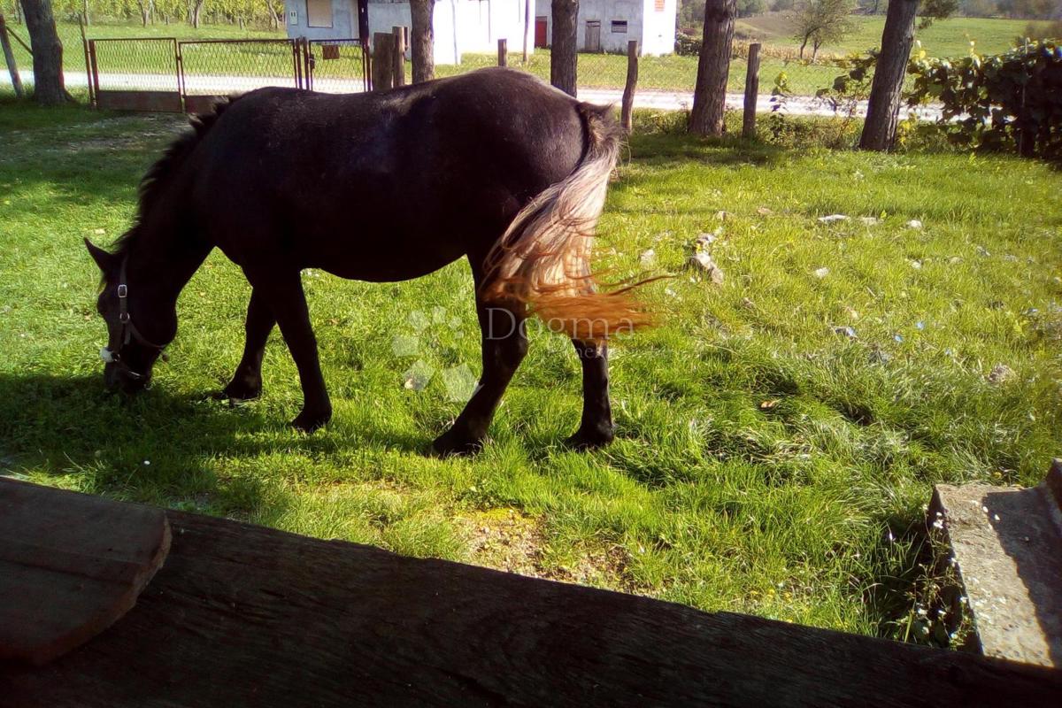 Hiša Blatuša, Gvozd, 54m2