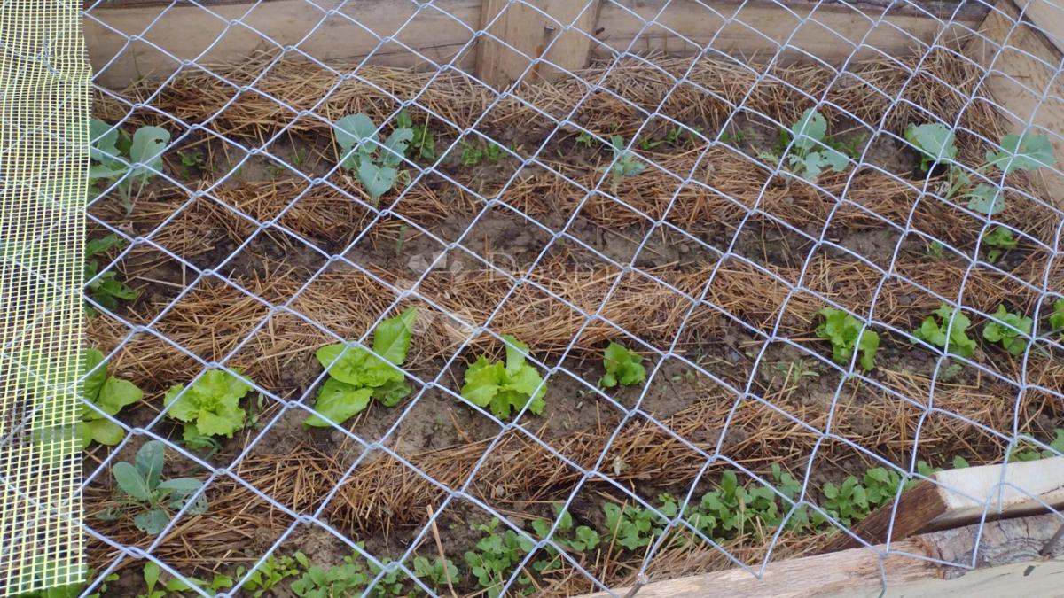 Hiša Blatuša, Gvozd, 54m2