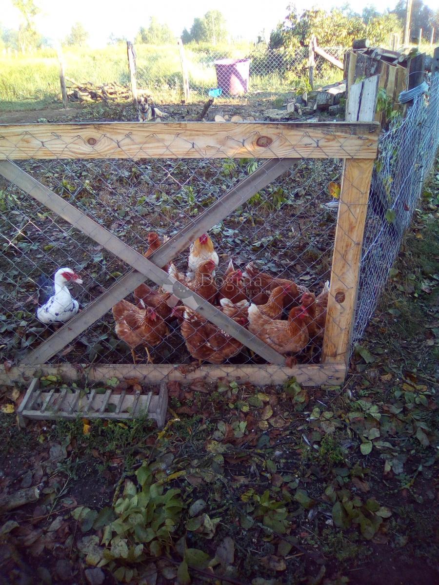 Hiša Blatuša, Gvozd, 54m2