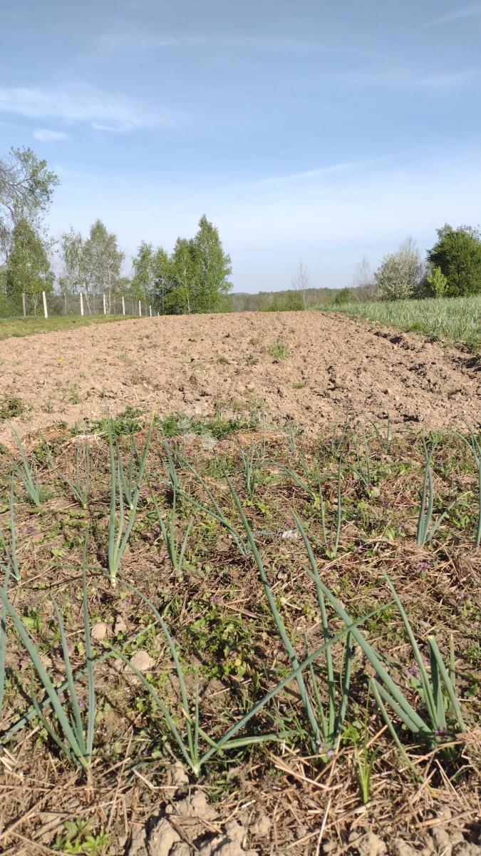 Hiša Blatuša, Gvozd, 54m2