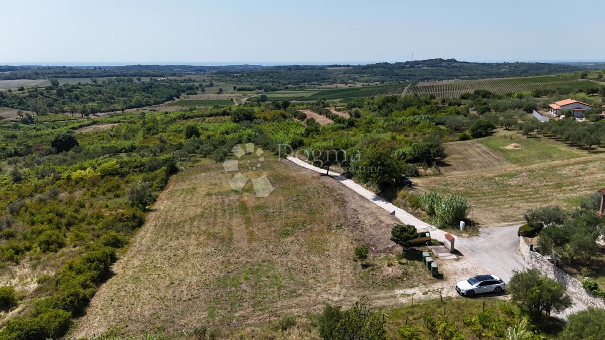 Zazidljivo zemljišče Buje, 1,03m2