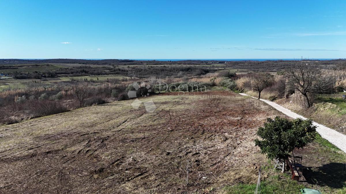 Zazidljivo zemljišče Buje, 1,03m2