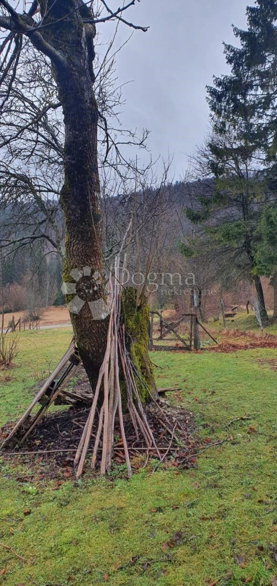 Zemljišče Stara Sušica, Ravna Gora, 10.600m2