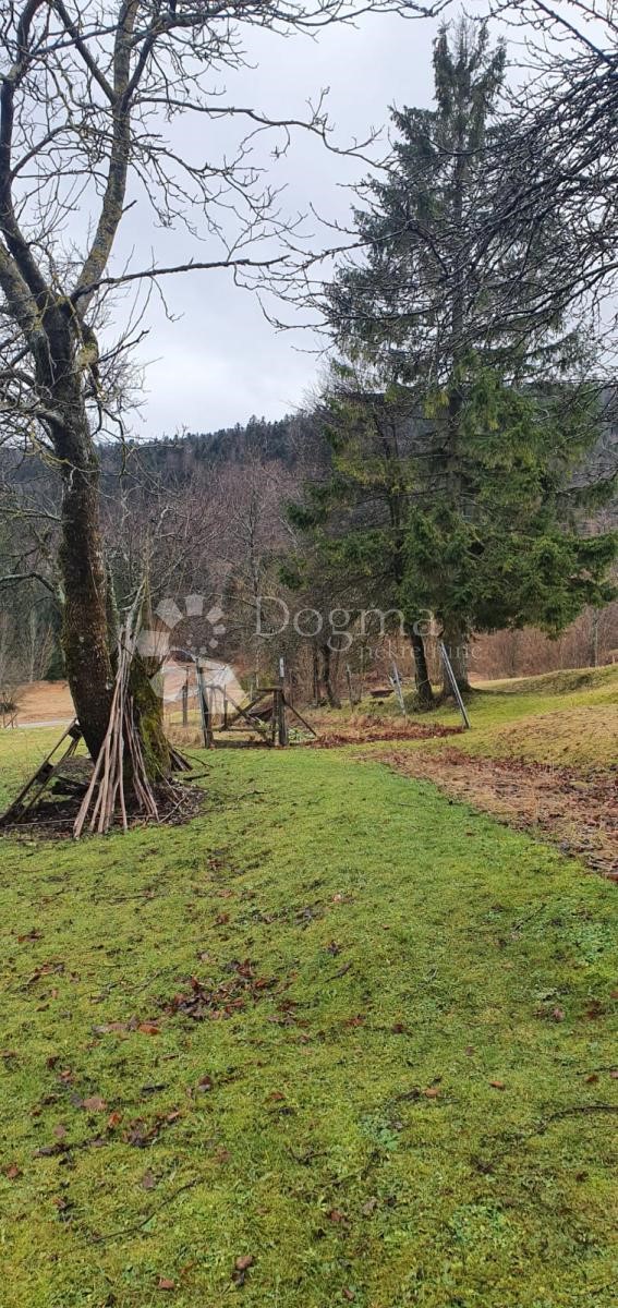 Zemljišče Stara Sušica, Ravna Gora, 10.600m2