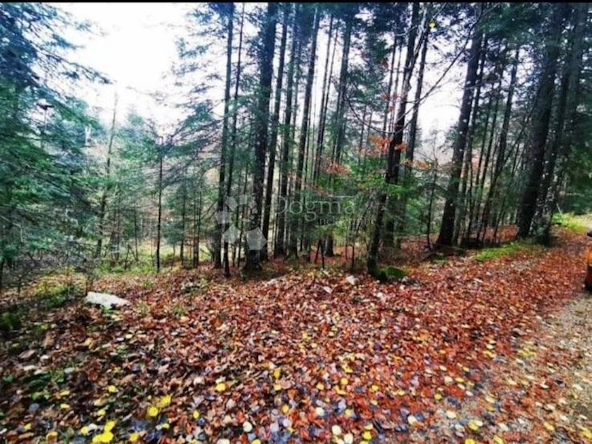 Zemljišče Stari Laz, Ravna Gora, 4.864m2