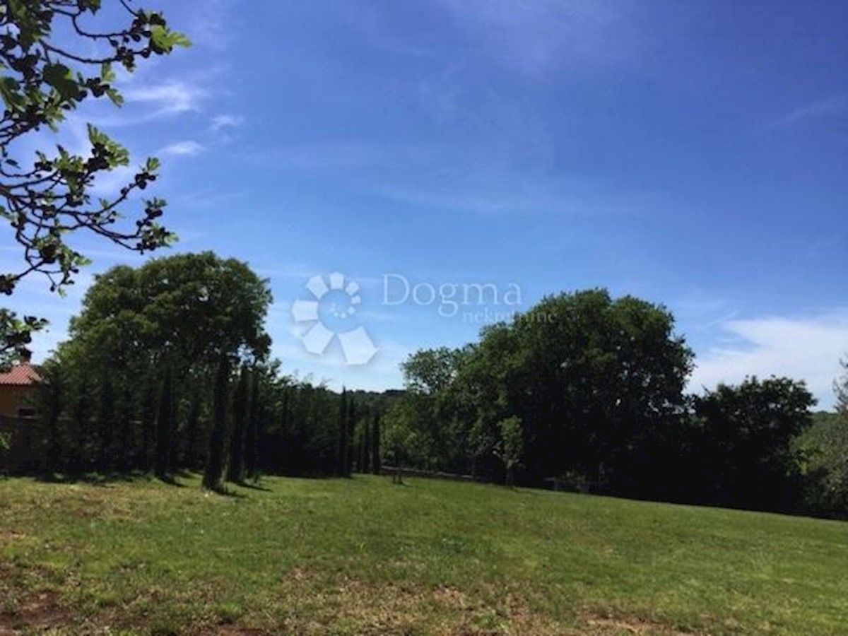 Hiša Martinčići, Grožnjan, 509m2