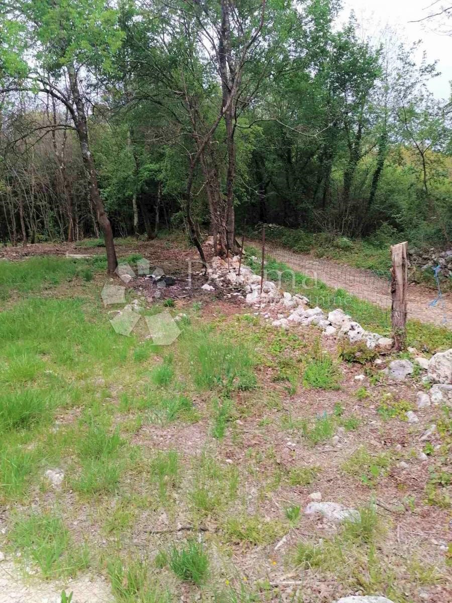 Zemljišče Manjadvorci, Barban, 5.838m2
