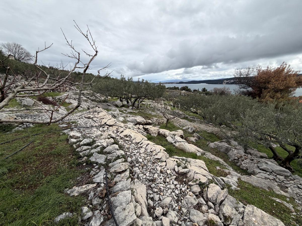 Zazidljivo zemljišče Seget Donji, Seget, 3.000m2