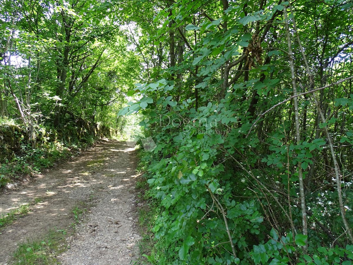 Zemljišče Saršoni, Viškovo, 4.000m2