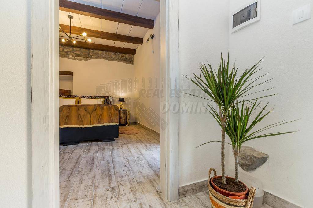 Čudovita obnovljena starina s strešno teraso!