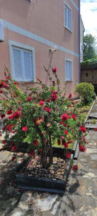 Čudovit apartma, pogled na morje! Malinska