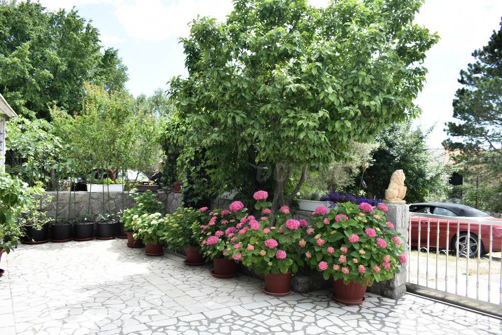 Hiša Soline, Dobrinj, 260m2