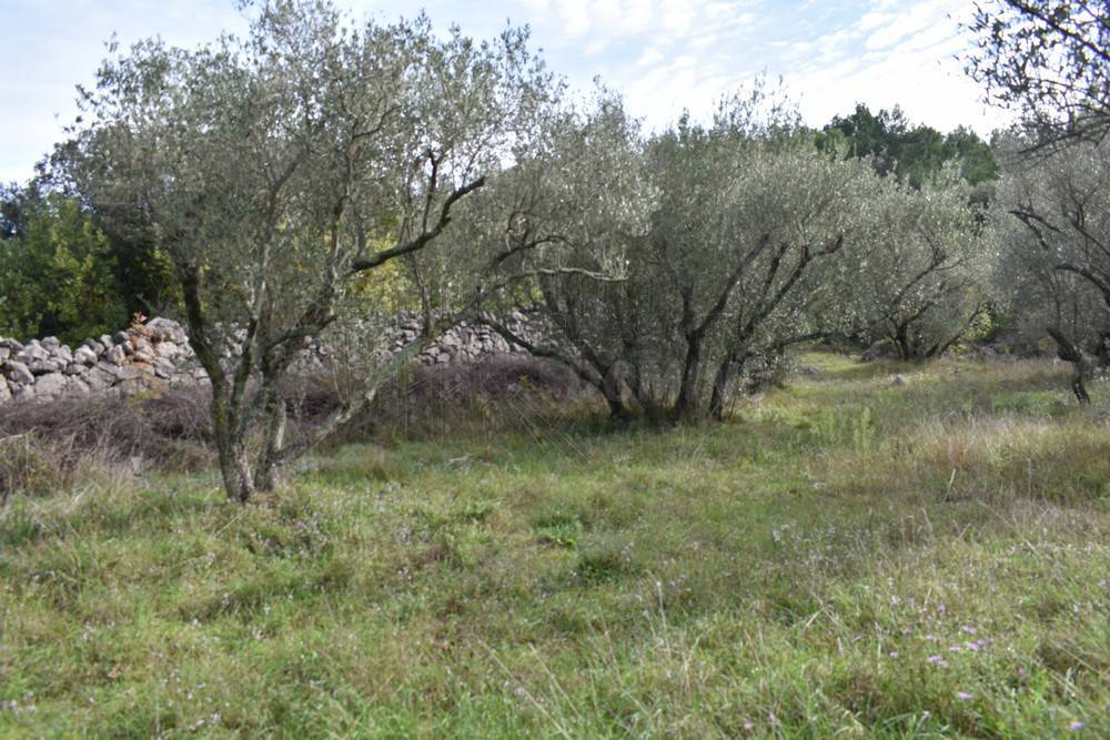 Zemljišče Krk, 1.827m2