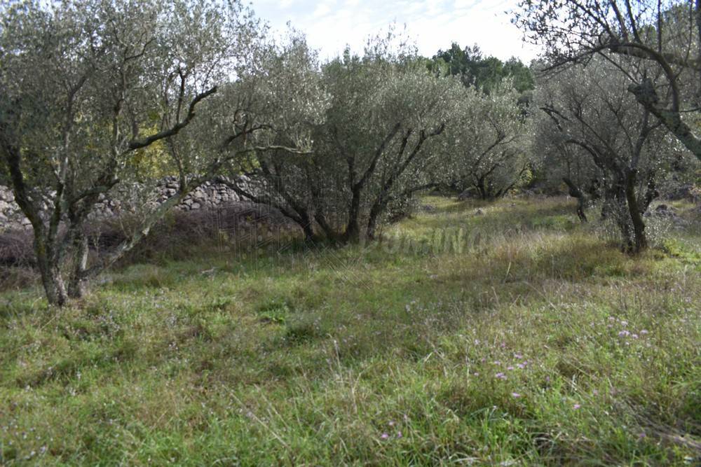 Zemljišče Krk, 1.827m2