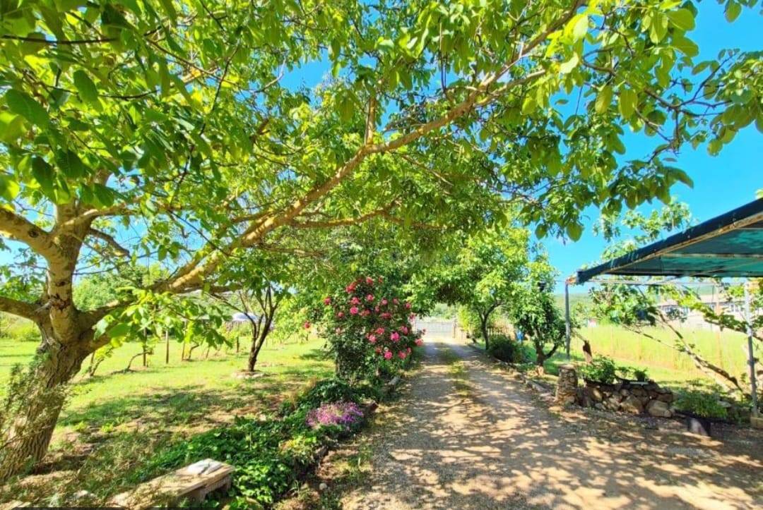 Hiša s kar 1500 m2 vrta - mesto Krk