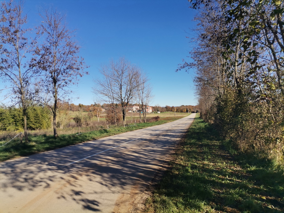 Z-699 veliko građevinsko zemljište Vižinada