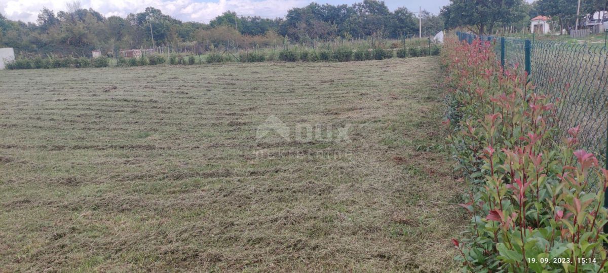 ISTRA, BARBAN - Gradbeno zemljišče z gradbenim dovoljenjem