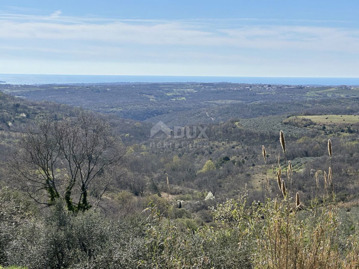 ISTRA, BUJE - Gradbeno zemljišče z odprtim pogledom na morje in gradbenim dovoljenjem