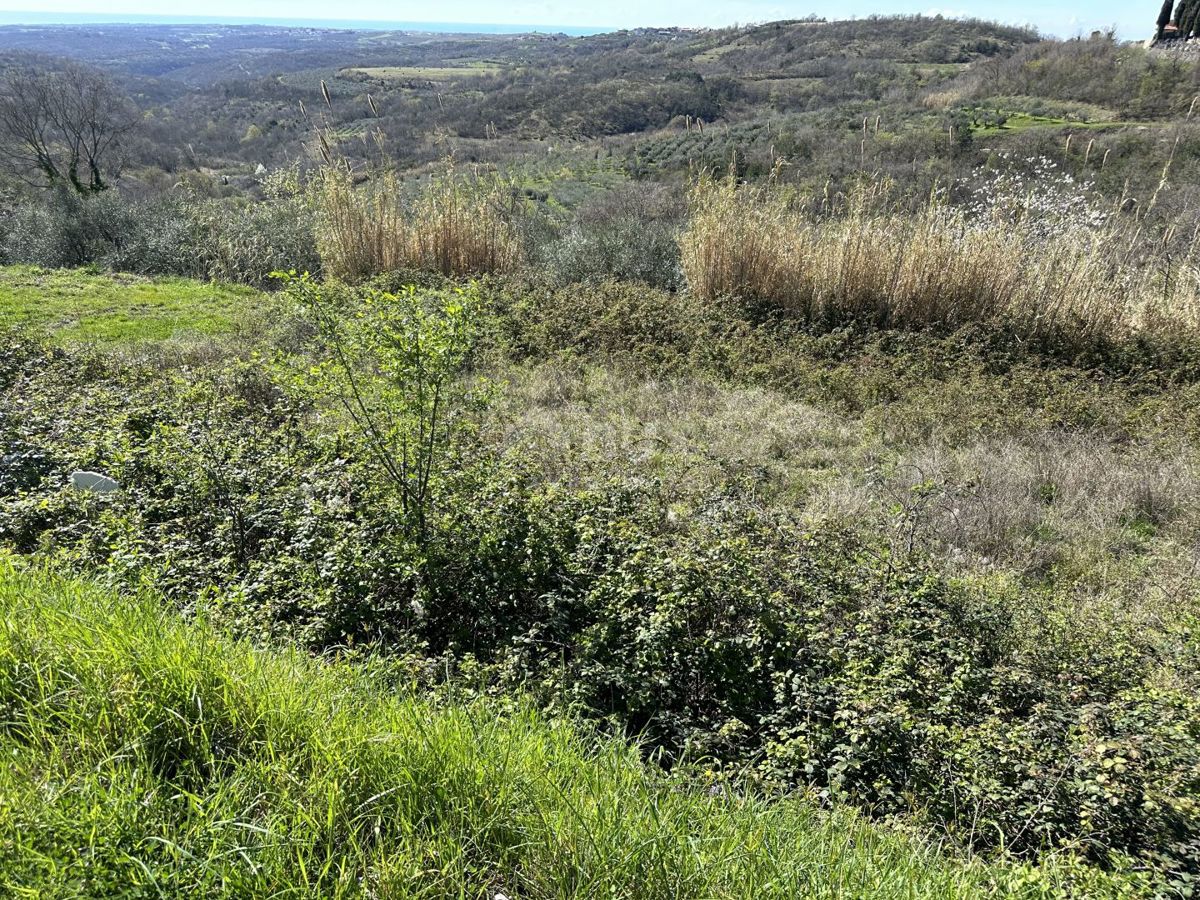 ISTRA, BUJE - Gradbeno zemljišče z odprtim pogledom na morje in gradbenim dovoljenjem