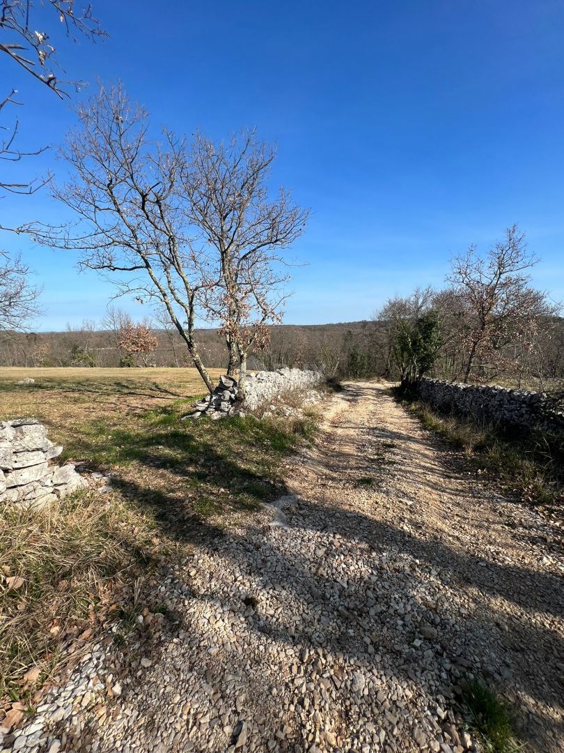 ISTRA, BUJE - Zemljišče na samem, zadnje v gradbenem območju, pogled na Buje in morje