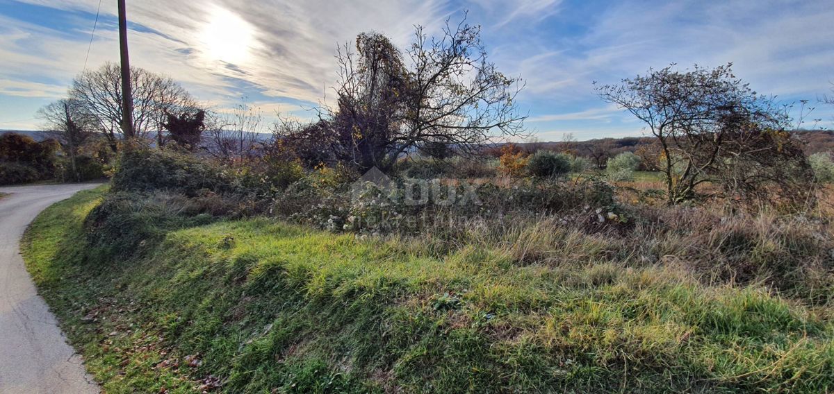 ISTRA, BARBAN - Zemljišče z pravnomočnim gradbenim dovoljenjem in plačano komunalo, lep razgled