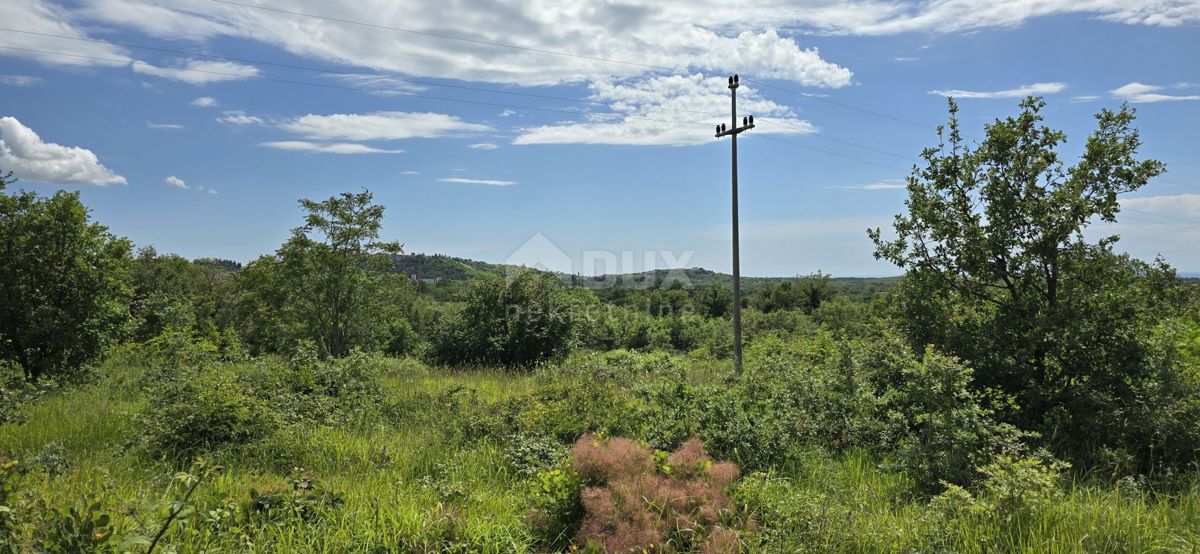 Buje, 1.000m2