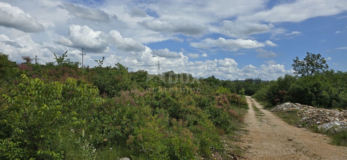 Buje, 1.000m2