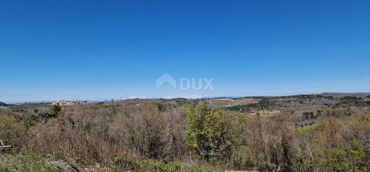 ISTRA, BUJE - Gradbena parcela na očarljivi lokaciji s panoramskim razgledom