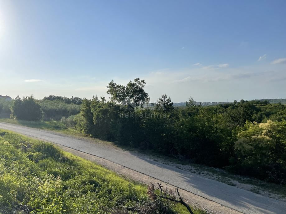 ISTRA, BUJE - Gradbena parcela na očarljivi lokaciji s panoramskim razgledom