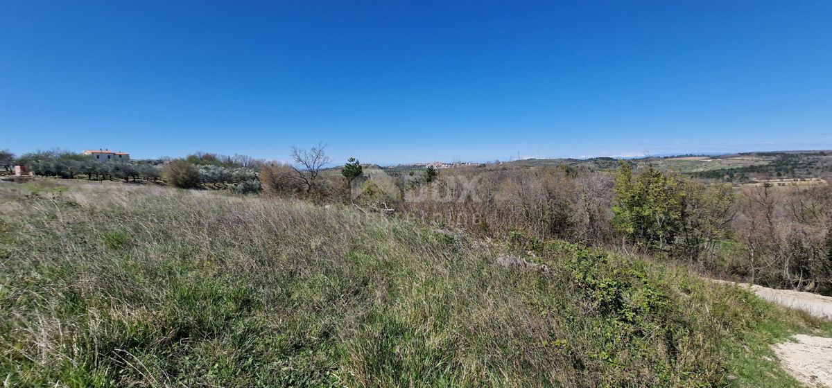 ISTRA, BUJE - Gradbena parcela na očarljivi lokaciji s panoramskim razgledom