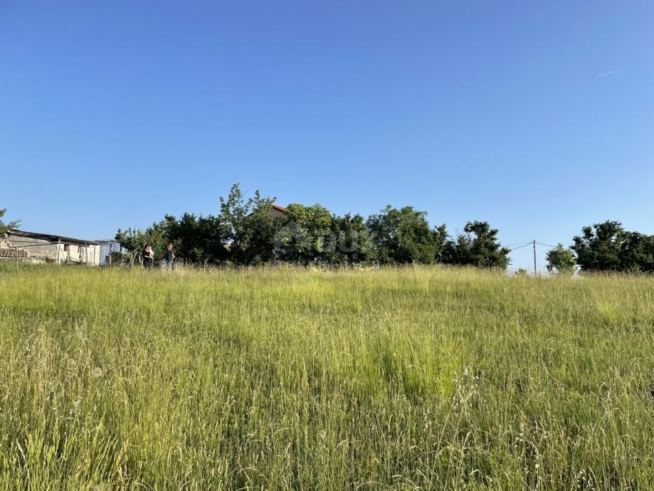 ISTRA, BUJE - Gradbena parcela na očarljivi lokaciji s panoramskim razgledom