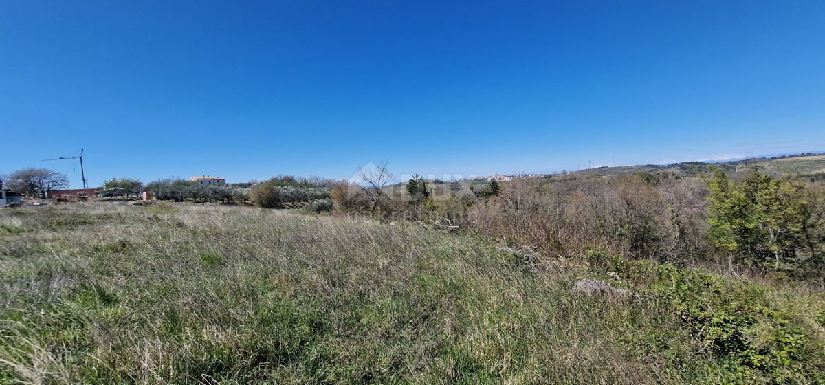 ISTRA, BUJE - Gradbena parcela na očarljivi lokaciji s panoramskim razgledom