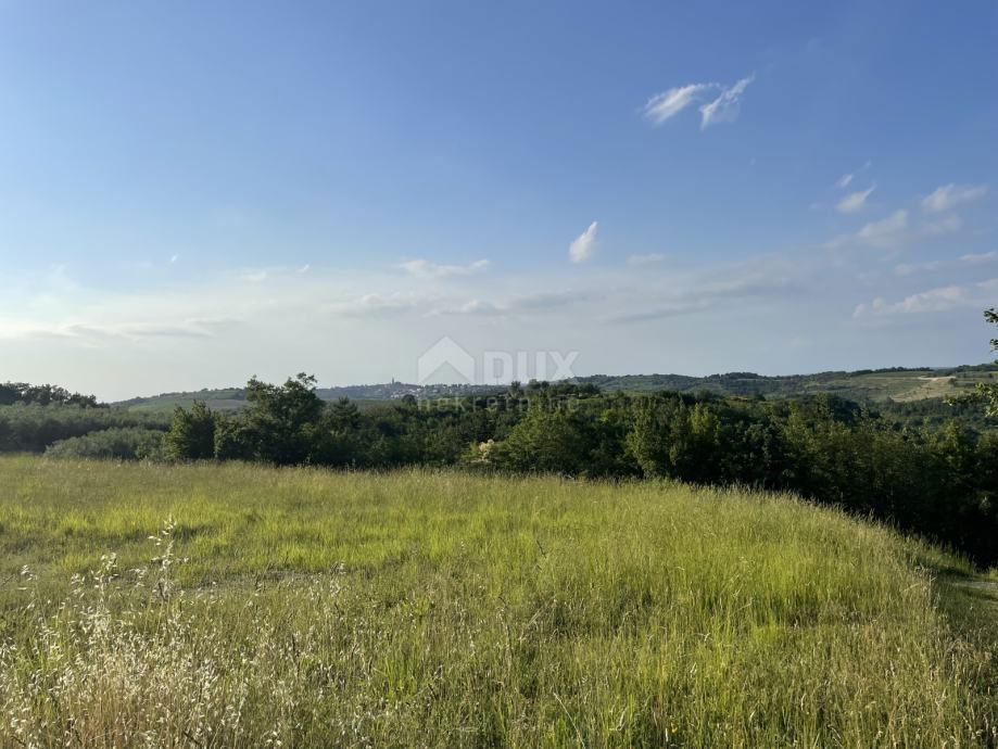 ISTRA, BUJE - Gradbena parcela na očarljivi lokaciji s panoramskim razgledom