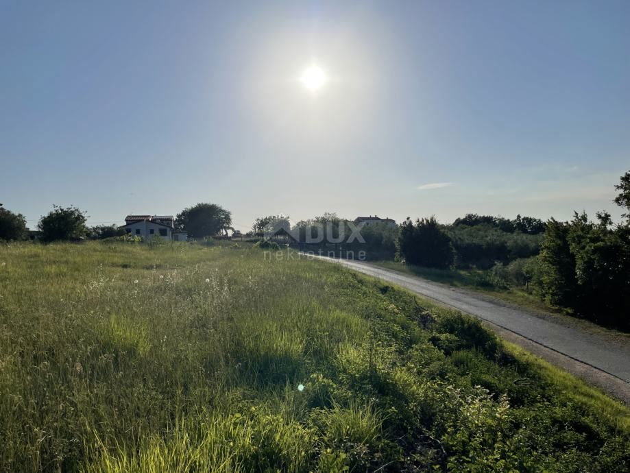 ISTRA, BUJE - Gradbena parcela na očarljivi lokaciji s panoramskim razgledom