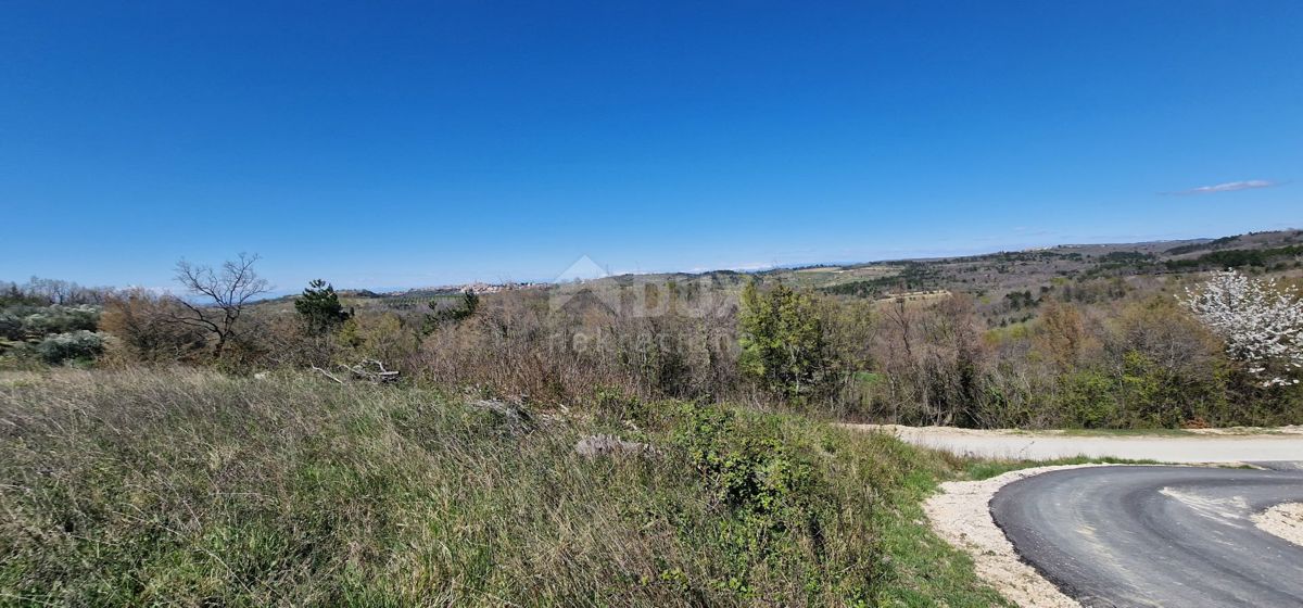 ISTRA, BUJE - Gradbena parcela na očarljivi lokaciji s panoramskim razgledom