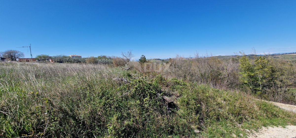 ISTRA, BUJE - Gradbena parcela na očarljivi lokaciji s panoramskim razgledom