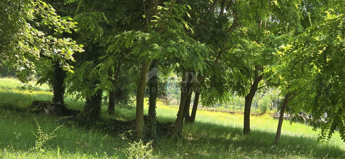 Grožnjan, 1.300m2