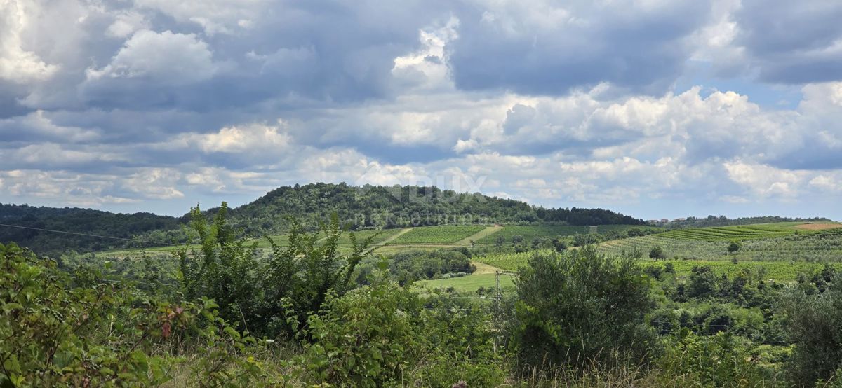 ISTRA, BUJE - Gradbeno zemljišče na robu gradbenega območja, panoramski razgled