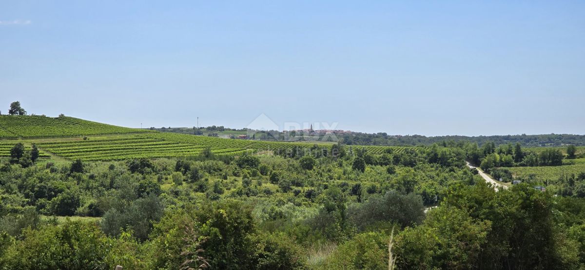 ISTRA, BUJE - Gradbeno zemljišče na robu gradbenega območja, panoramski razgled