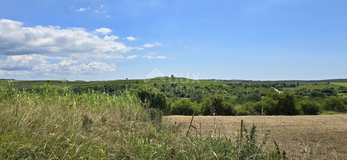 ISTRA, BUJE - Gradbeno zemljišče na robu gradbenega območja, panoramski razgled