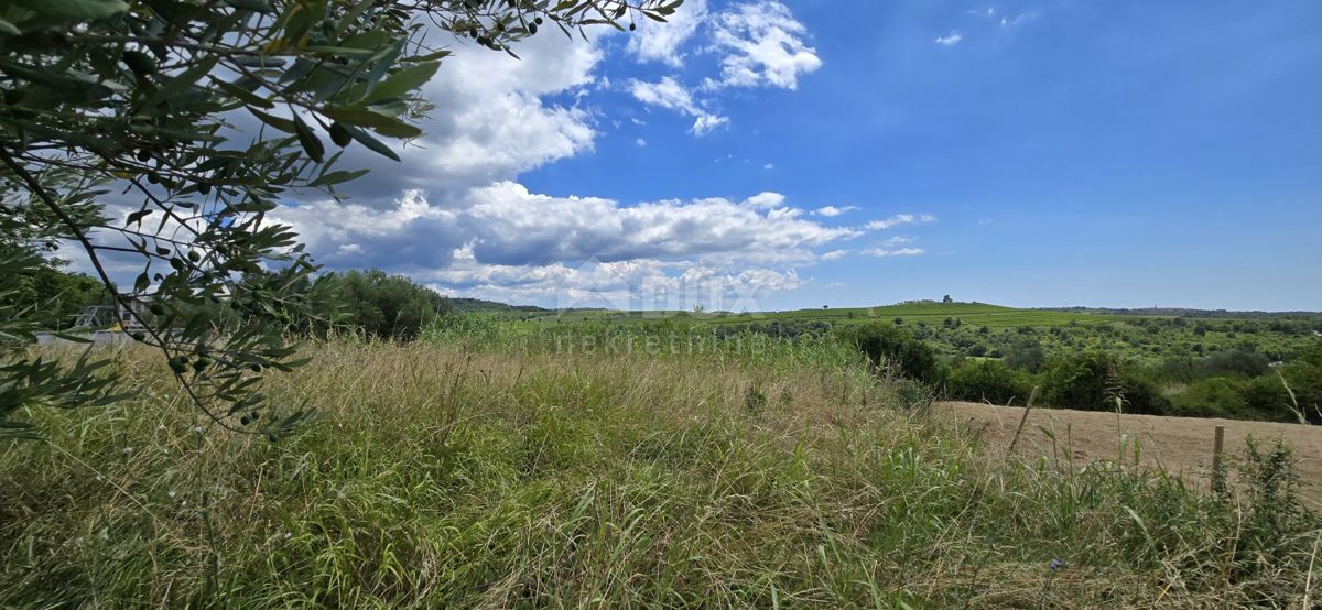 ISTRA, BUJE - Gradbeno zemljišče na robu gradbenega območja, panoramski razgled