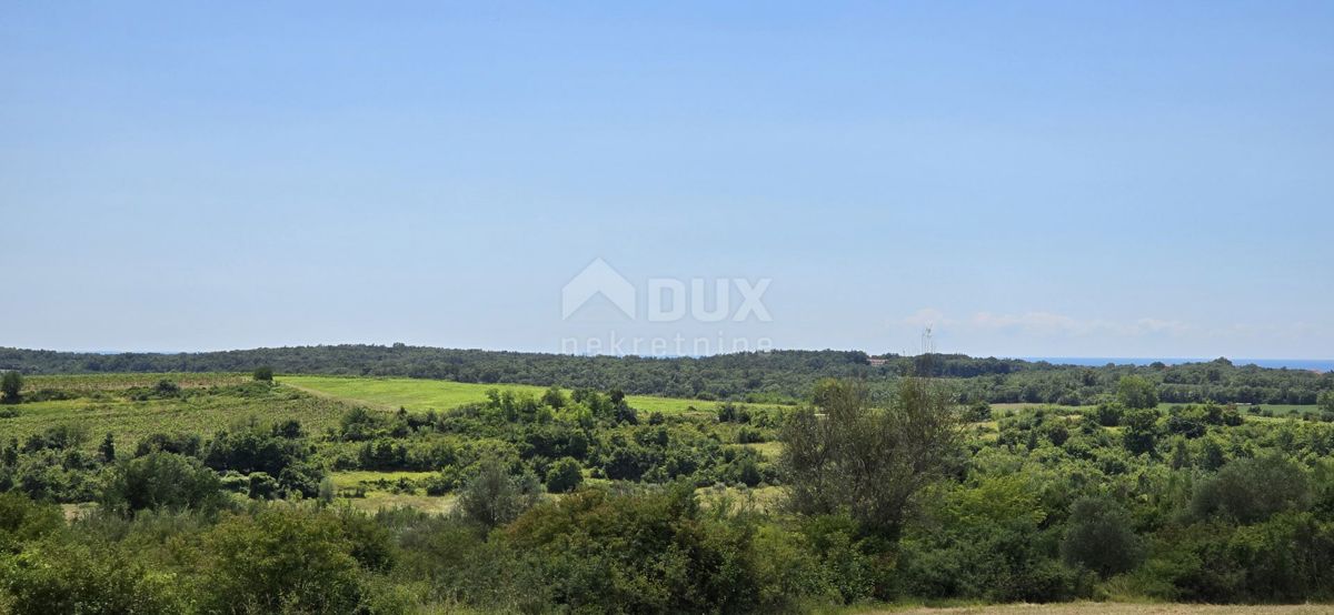 ISTRA, BUJE - Gradbeno zemljišče na robu gradbenega območja, panoramski razgled