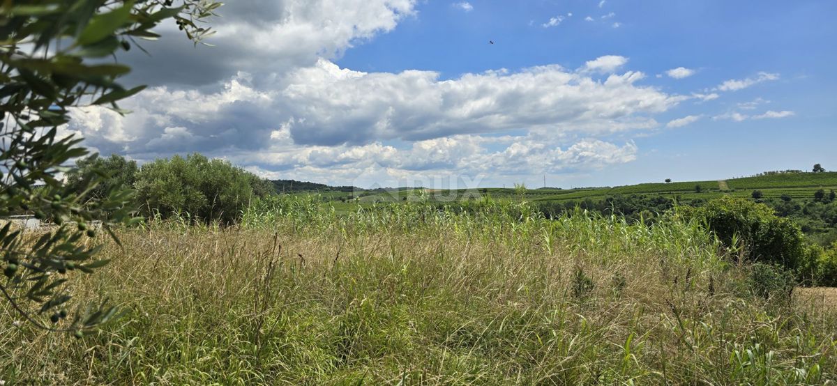 ISTRA, BUJE - Gradbeno zemljišče na robu gradbenega območja, panoramski razgled